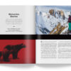 A magazine spread.