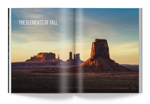 AJ Subscription - Image 10