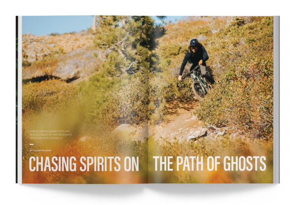 AJ Subscription - Image 5
