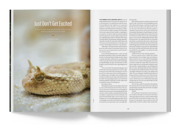 AJ Subscription - Image 4